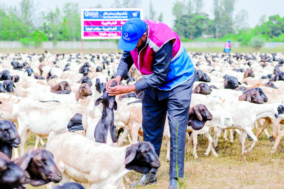 «قطر الخيرية» تطلق حملة ذي الحجة للعام 1445 هـ