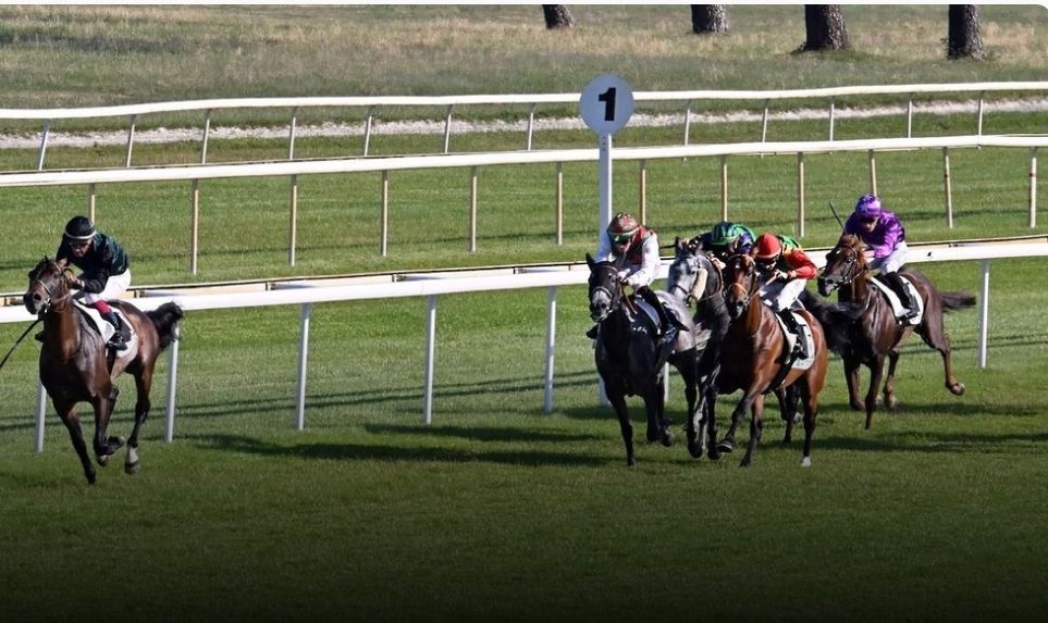 الحصان النجيب للخيالة السُّلطانية يحقّق المركز الثاني على مضمار لاتيست الفرنسي