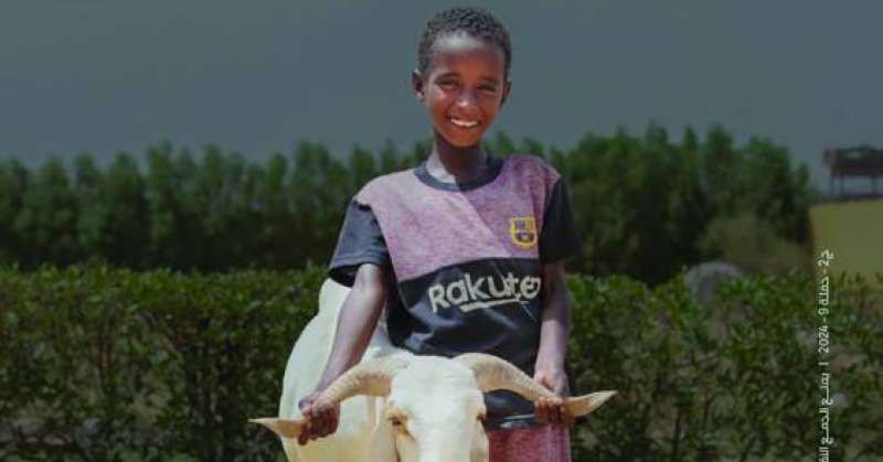 «النجاة» تطلق حملة الأضاحي غداً