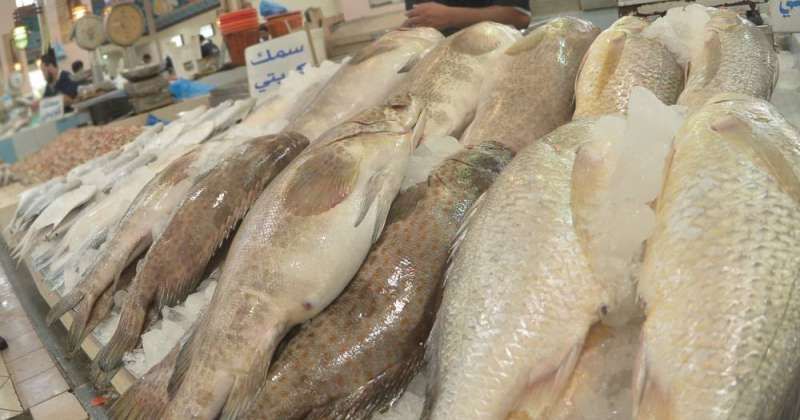 26.6 في المئة تراجعاً بمبيعات الأسماك في الربع الأول