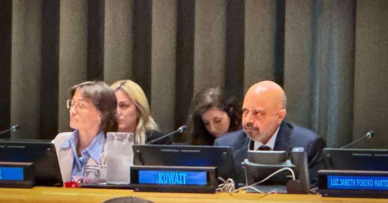 الكويت: قرار مجلس الأمن «2474» إنجاز تاريخي يدعم أسر المفقودين بالحروب