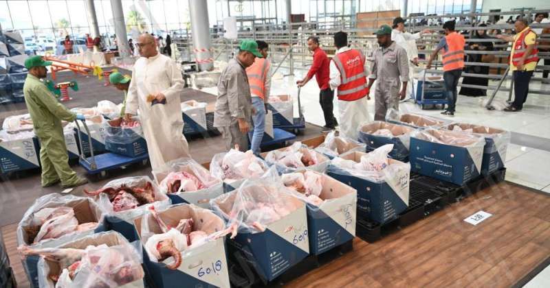 مسالخ الكويت.. تنظيم وتجهيز عالي المستوى