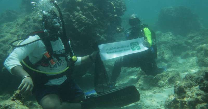 «بيتك» يطلق حملة تنظيف الشواطئ بالتعاون مع المركز العلمي