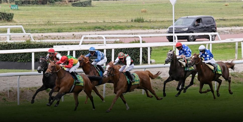 المهرة الرشا للخيالة السُّلطانية تفوز بالمركز الأول على مضمار تولوز الفرنسي