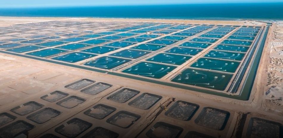 أكثر من 100مليون ريال عُماني قيمة الإنتاج السمكي بالوسطى