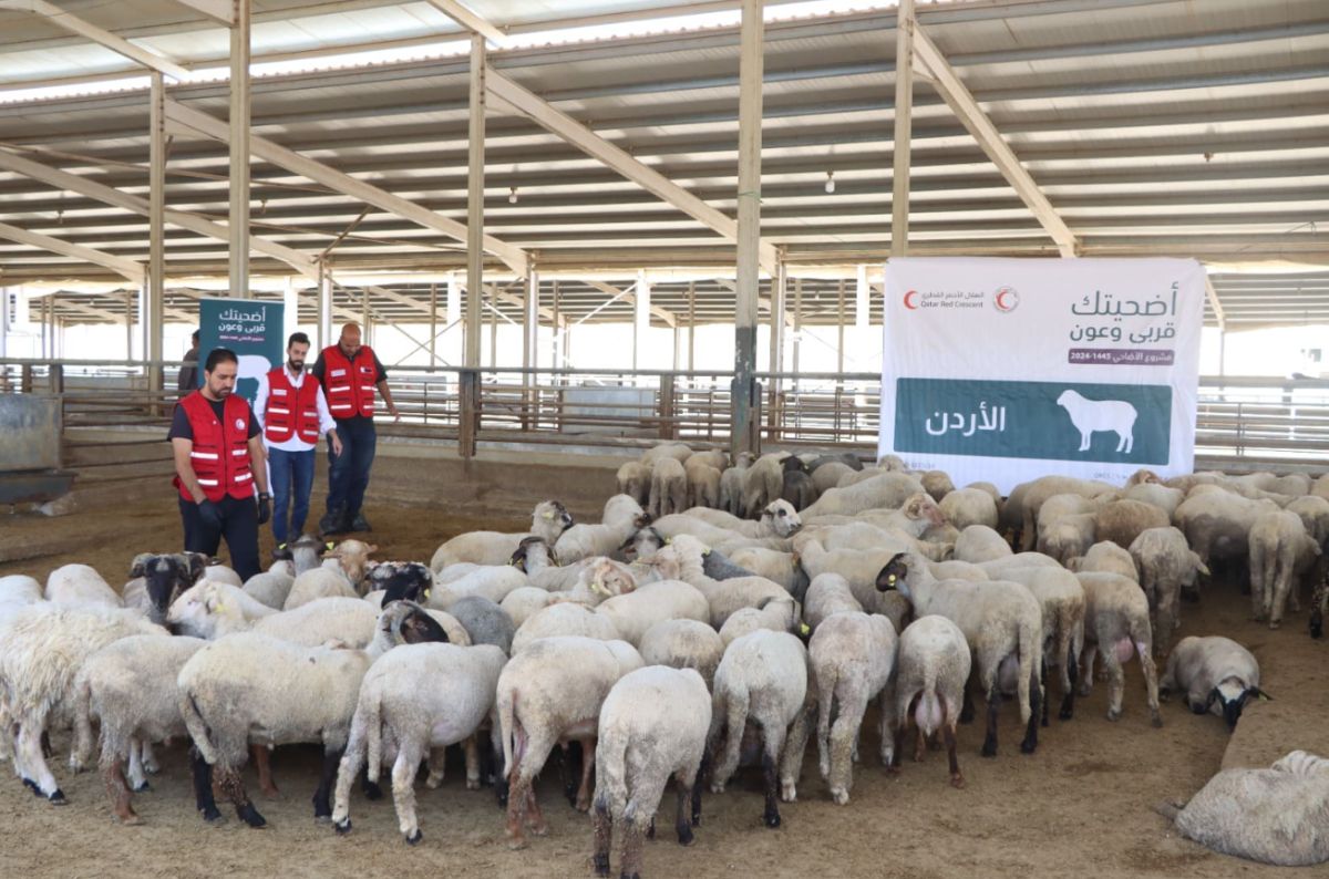 الهلال الأحمر القطري يوزع أضاحي أهل قطر في 16 دولة حول العالم