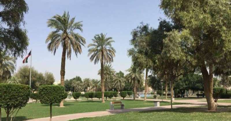 «الشؤون» توجه «التعاونيات» بتفعيل بند الخدمات الاجتماعية في الزراعة التجميلية