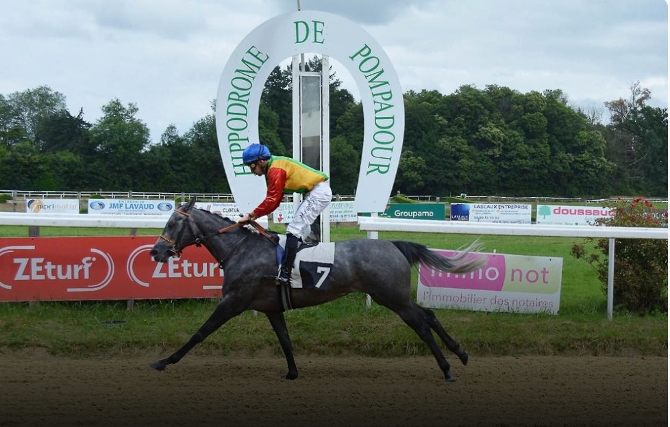 الخيالة السلطانية تتألق على مضمار “بمبادور” الفرنسي