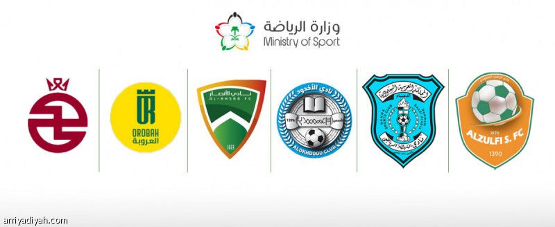وزارة الرياضة تُعلن.. 6 أندية تدشن المرحلة الثانية من الاستثمار والتخصيص