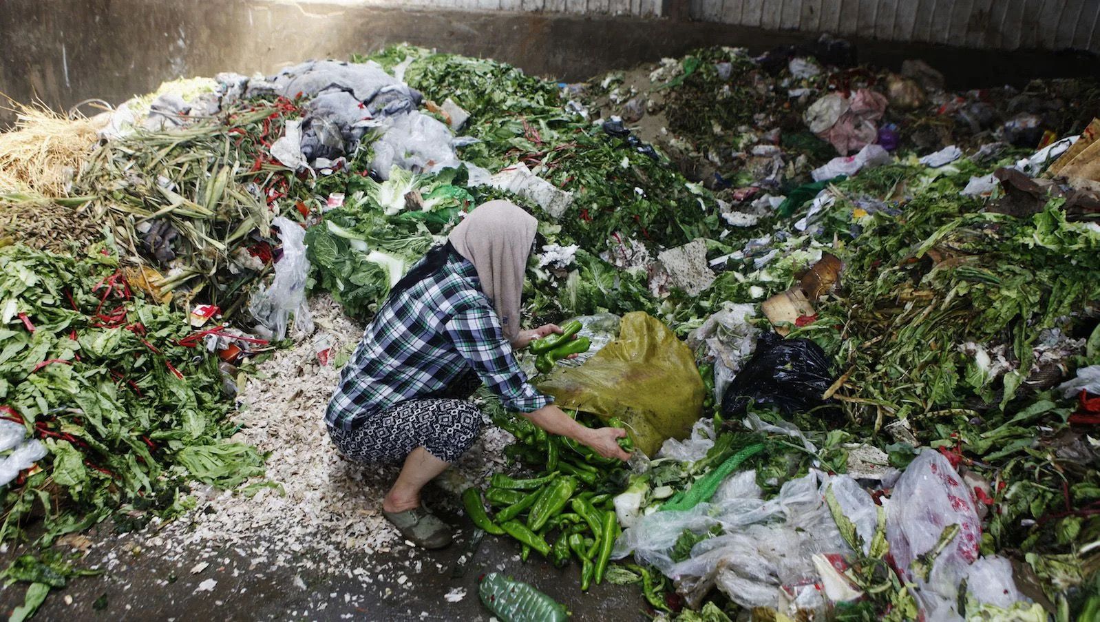 كيف يساهم الحدّ من هدر الأطعمة في خفض أزمة الغذاء والتلوث؟