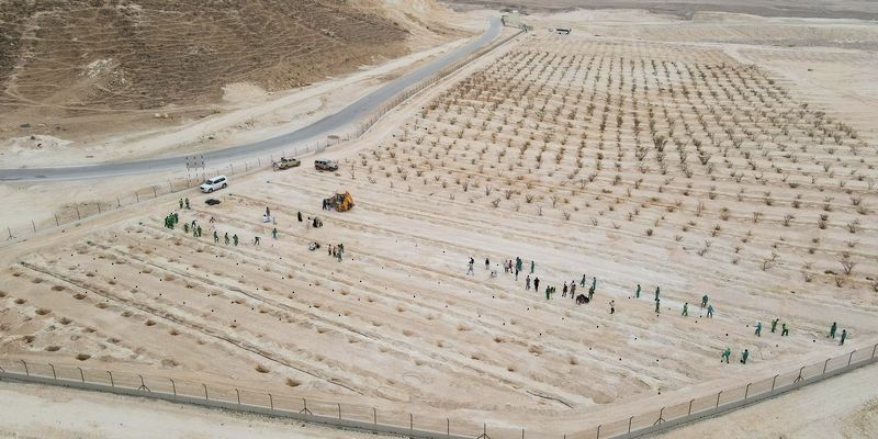 حملة لاستزراع 10 آلاف شجرة بريّة في محافظة ظفار