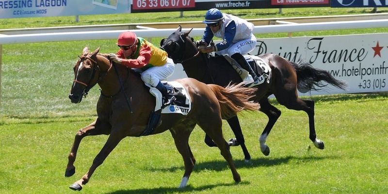 الحصان “سوكو” للخيالة السلطانية ثالثًا على مضمار لاتيست الفرنسي