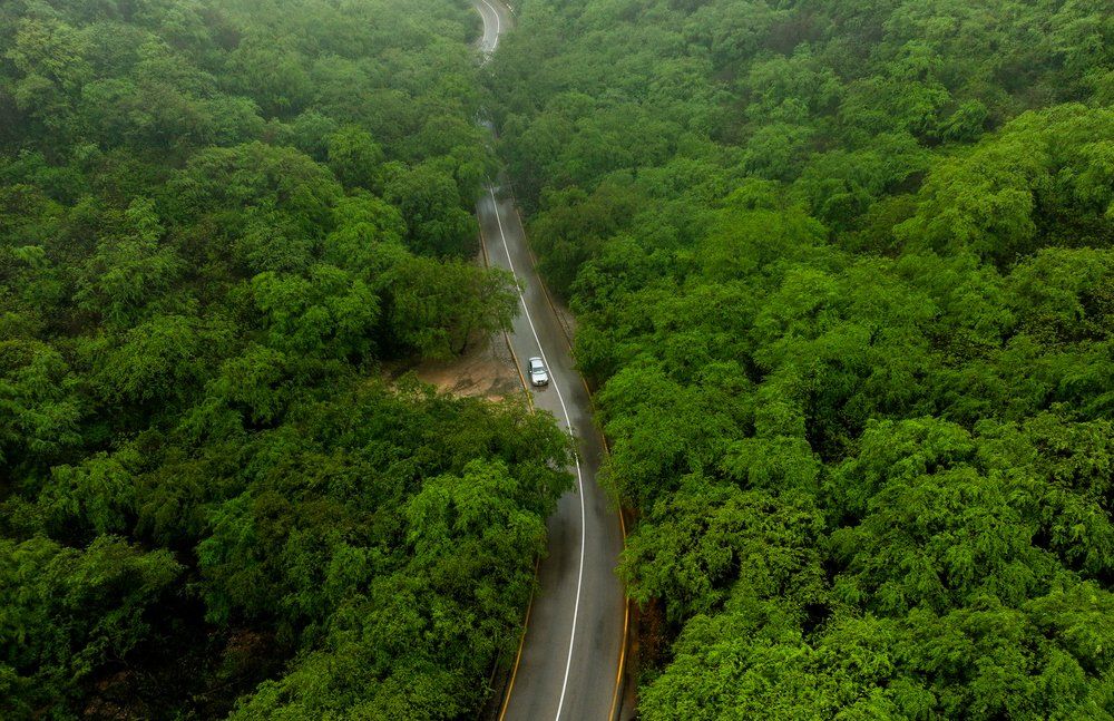 موسم خريف استثنائي .. انخفاض درجات الحرارة وتواصل هطول الأمطار والرذاذ