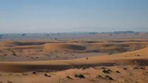 ظهور حيوان غريب يتحدى الصحراء في السعودية يثير الرعب ويصيبهم بحالة من الخوف والهلع