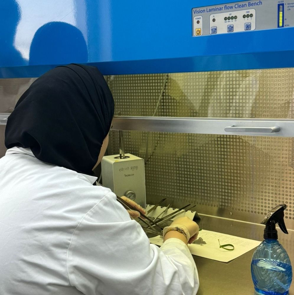 تدريب طالبات بجامعة قطر على تقنية الزراعة النسيجية