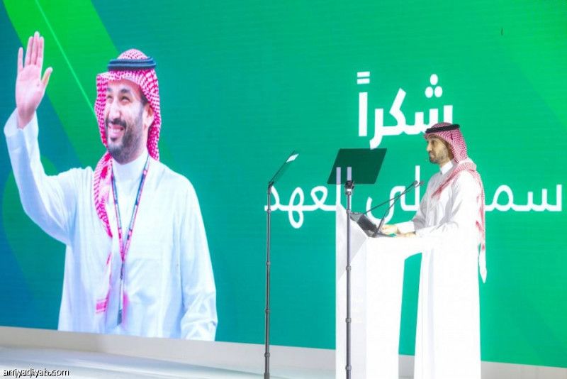 مشروع التخصيص.. «الرياضة» تطرح 6 أندية