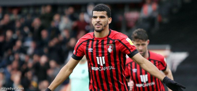 82 مليونا تنقل سولانكي إلى توتنهام