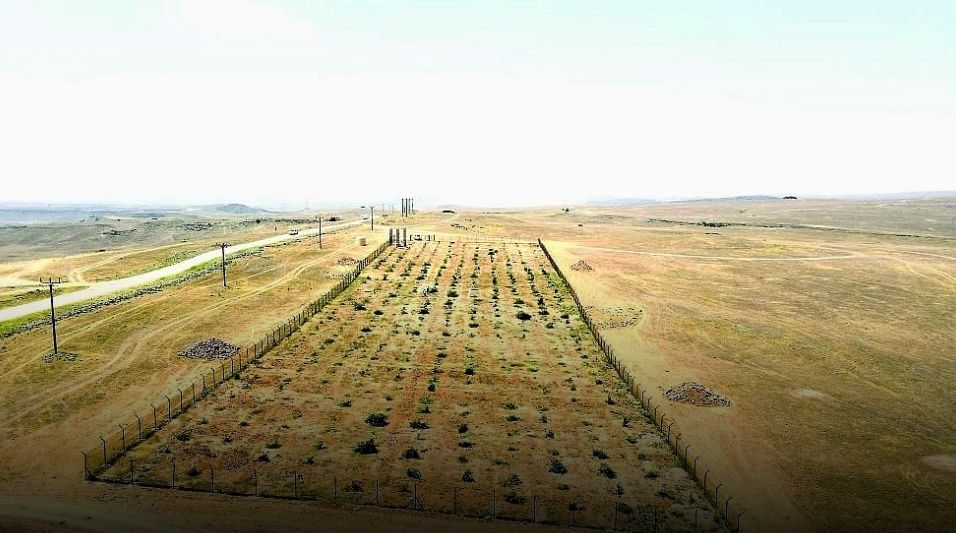 إنشاء 3 حدائق بيئية في ظفار