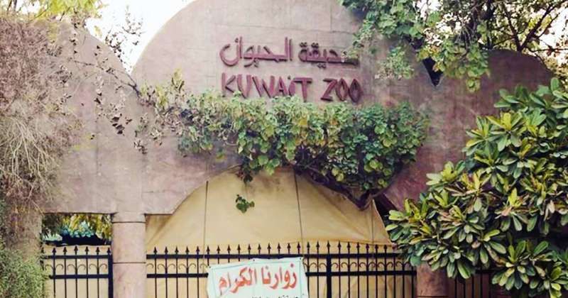 ما مصير مئات الأشجار المُعمّرة والحيوانات والطيور في حديقة الحيوان؟