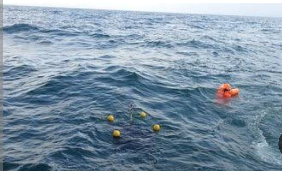 تواصل جهود البحث والإنقاذ عن المواطنين المفقودين في عرض البحر بمسقط