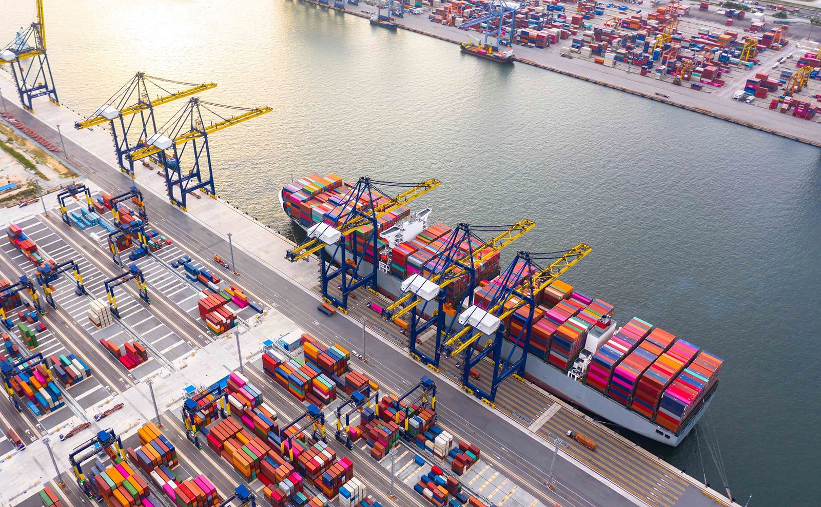 موانئ الإمارات.. أداة مهمة لدفع عجلة نمو الاقتصاد الوطني وشريان التجارة العالمي