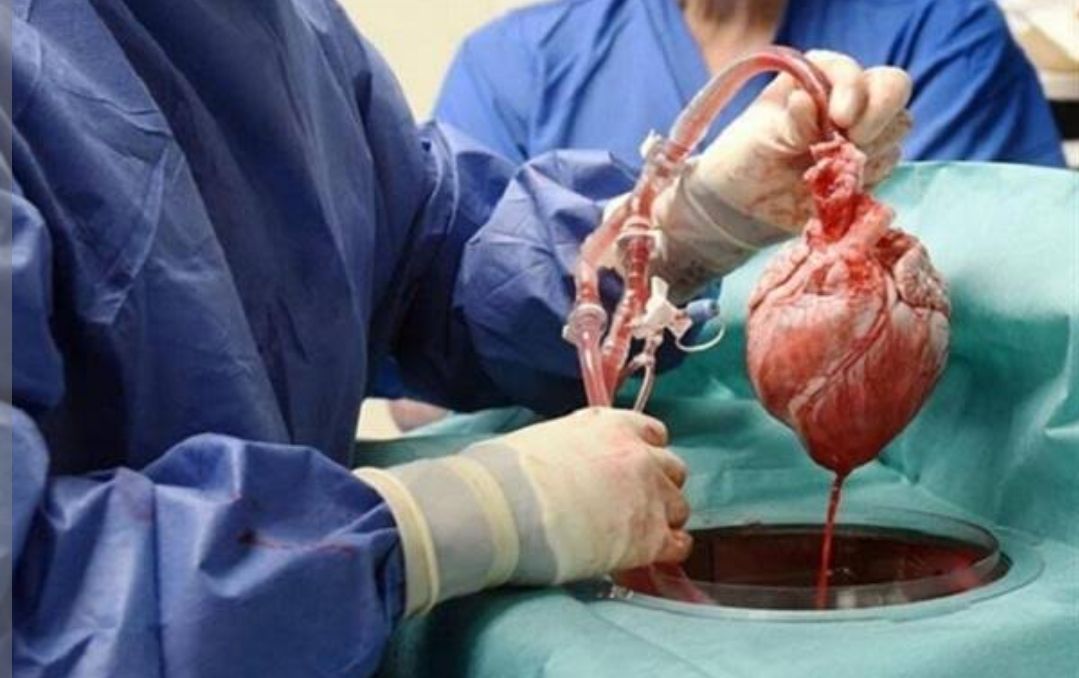 الصحة تسعى إلى توطين خدمات زراعة القلب في سلطنة عمان