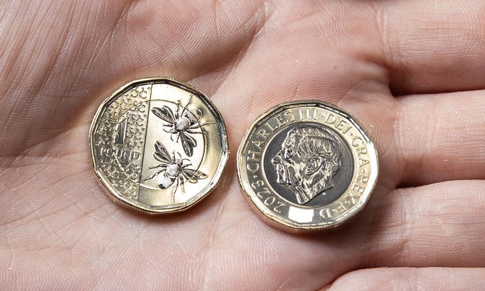 طرح أول عملة معدنية تحمل صورة الملك تشارلز للتداول