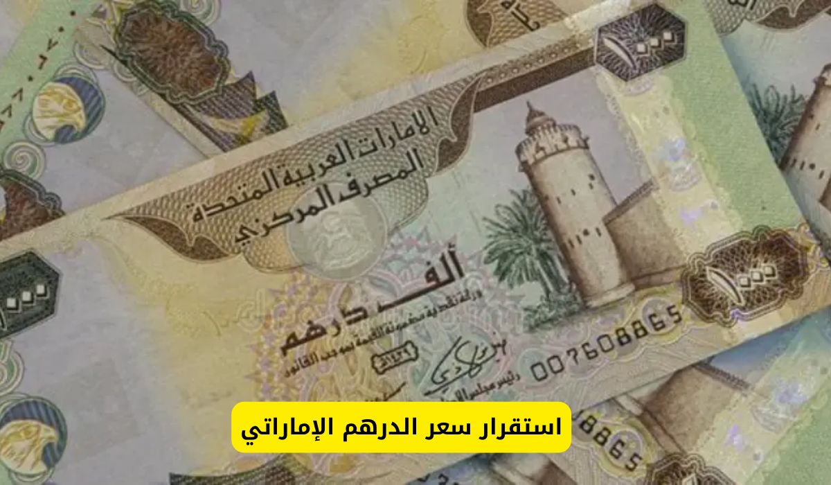 سعر الدرهم الإماراتي مقابل الجنيه المصري اليوم