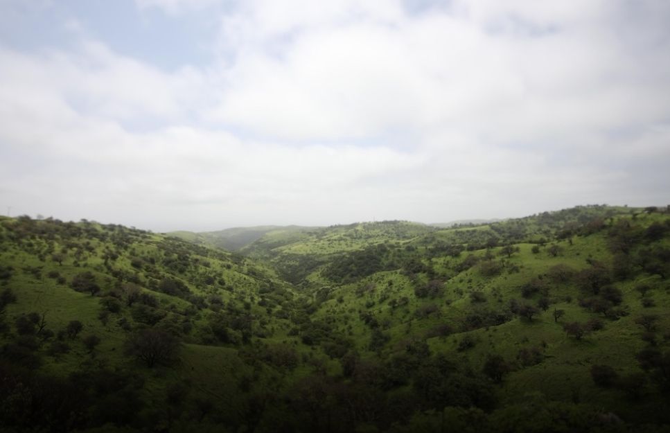 سلطنة عُمان تنتهي من إعداد المسودة النهائية للإطار السياسي العام لأسواق الكربون