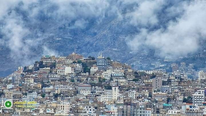 شاب يقتل شقيقته في جريمة عنف أسري جديدة بمحافظة إب