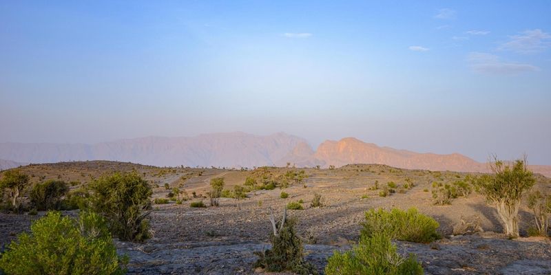 سلطنة عُمان تشارك دول العالم الاحتفال باليوم الدولي لنقاوة الهواء