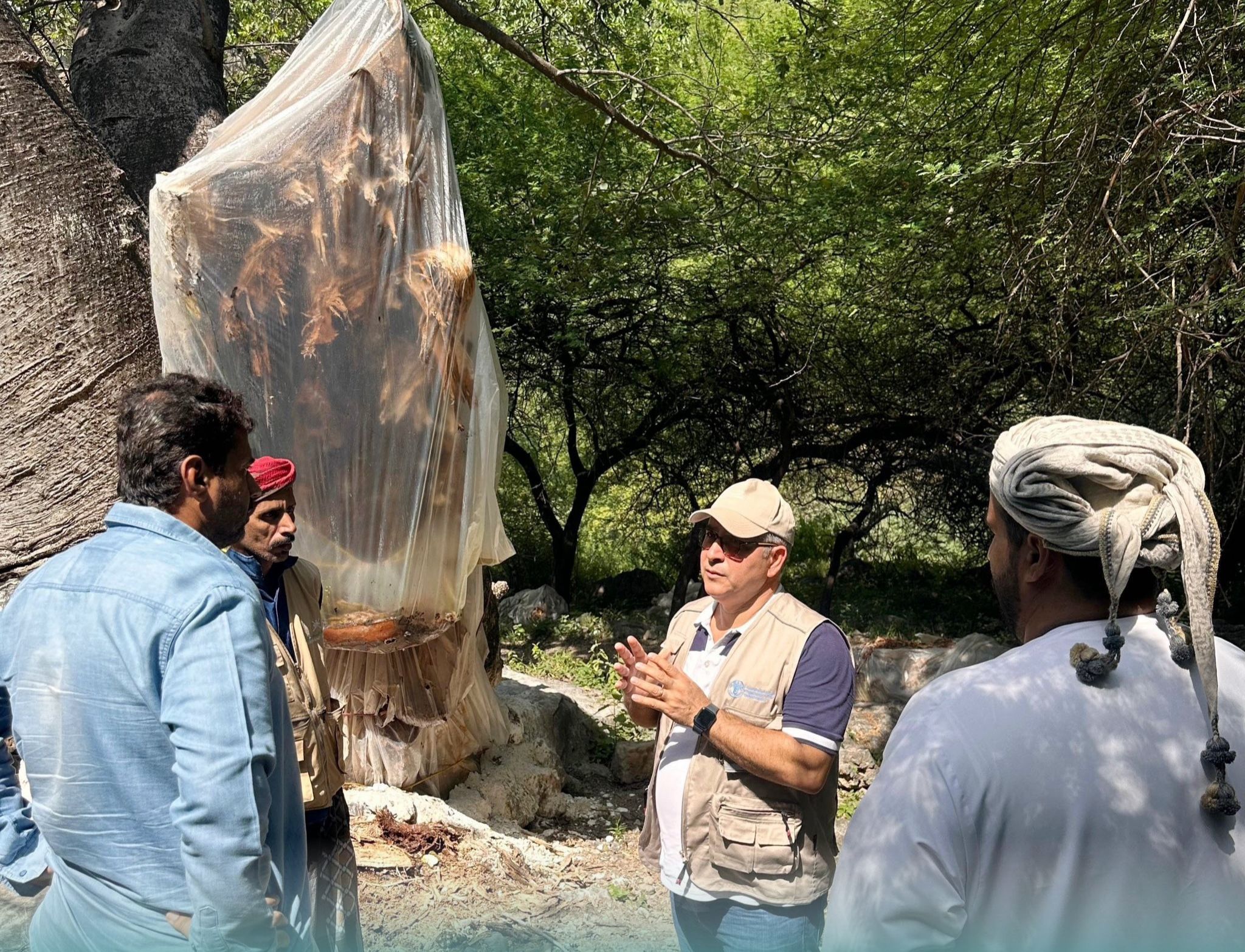 منظمة “الفاو” تزور وادي حشير بظفار للاطلاع على جهود البيئة