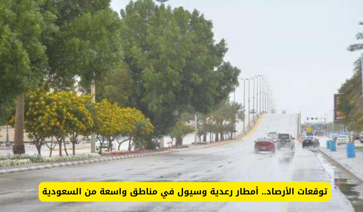 "الأرصاد السعودية" أمطار رعدية وسيول في مناطق واسعة من السعودية وهذا مصير الدراسة الحضورية