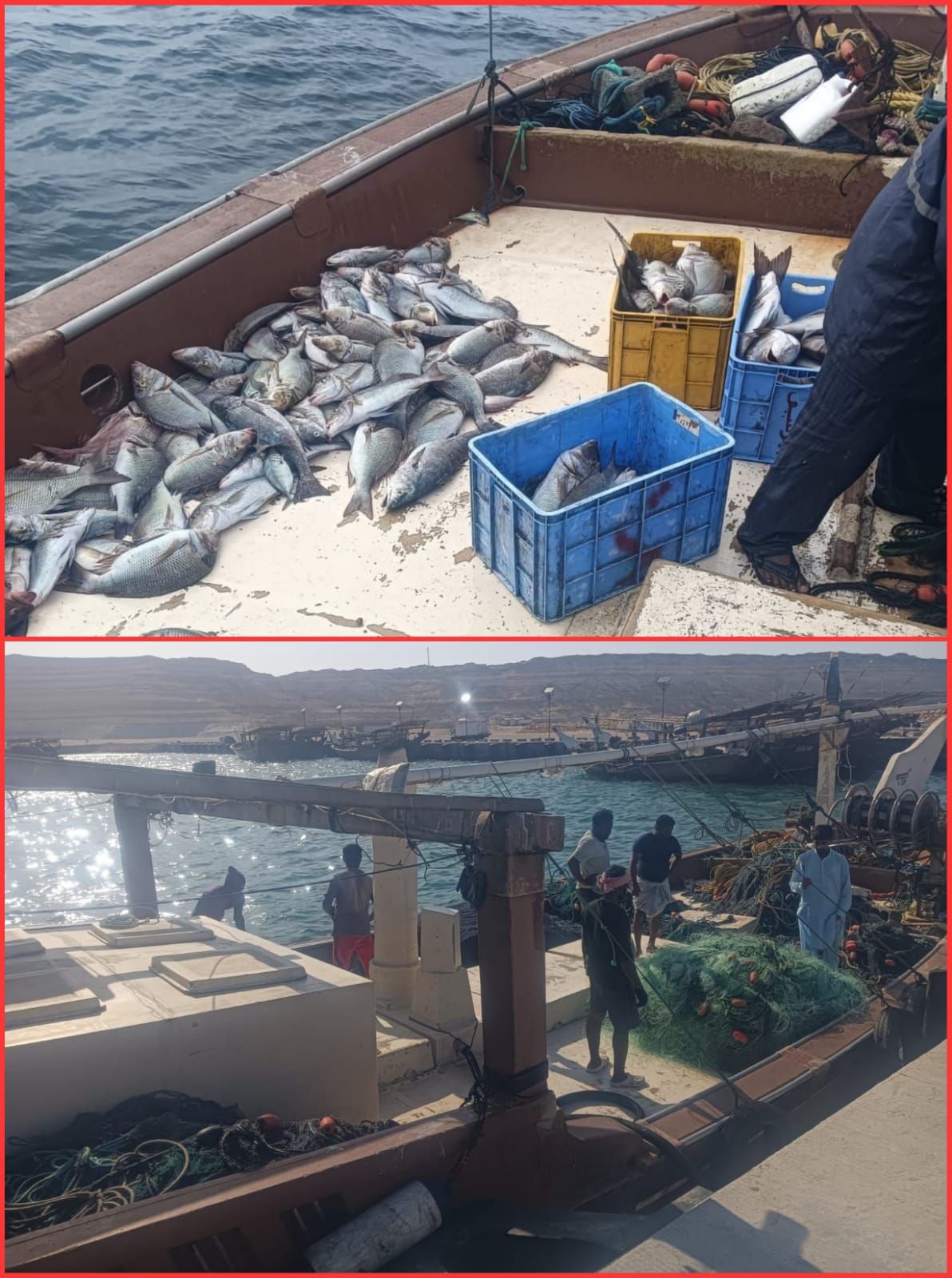 ضبط 3 سفن صيد تستخدم شباك النايلون الممنوعة