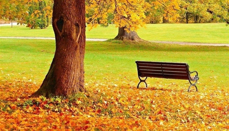 بعد غدٍ.. بداية فصل الخريف وانخفاض تدريجي في درجات الحرارة بالإمارات