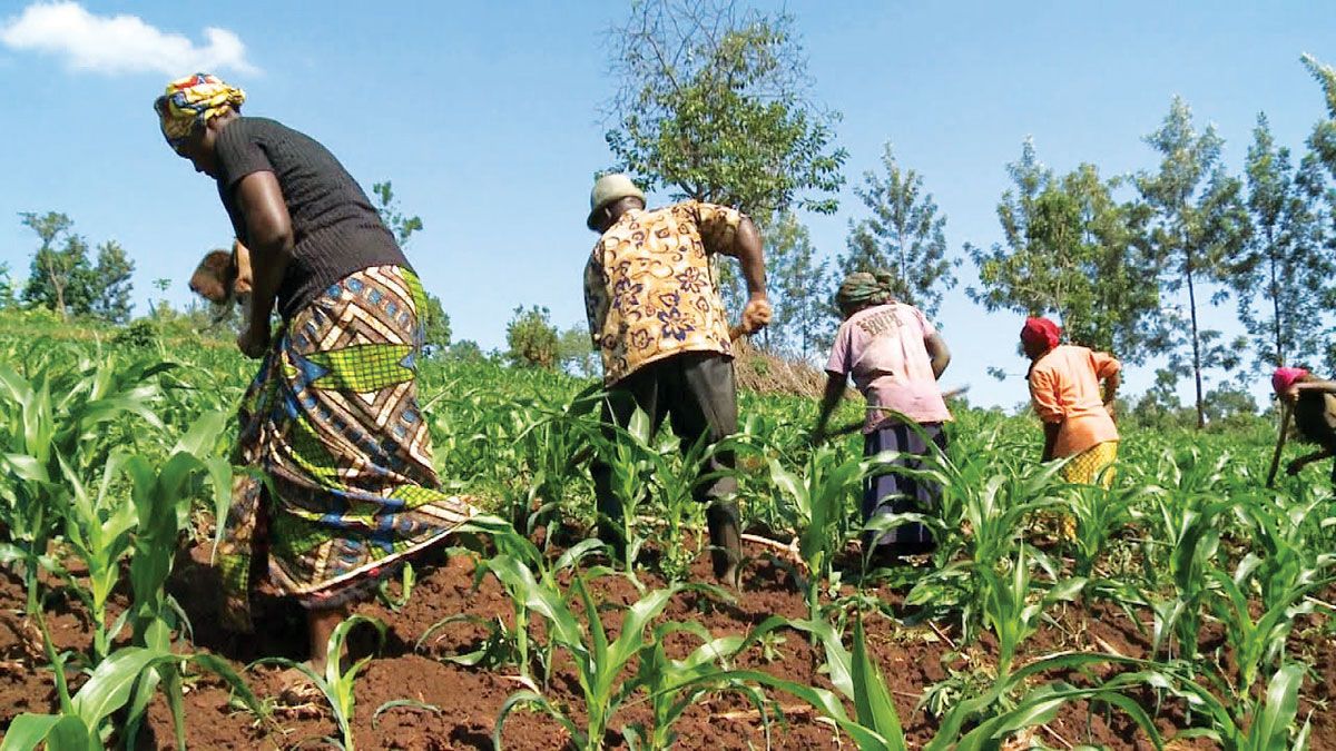 توقع وصولها إلى 2 تريليون دولار.. ديون أفريقيا ترفع معدلات تعثرها الاقتصادي خلال 2024
