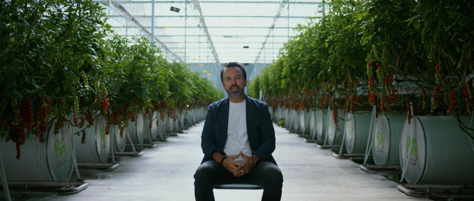 استثمر في الإمارات.. "بيور هارفست" قصة ملهمة في الزراعة الذكية