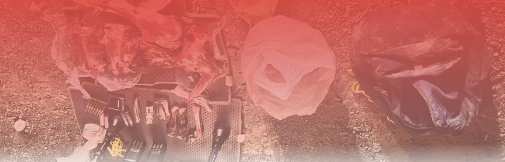 ضبط مواطنين قاموا بانتهاك الحياة الفطرية