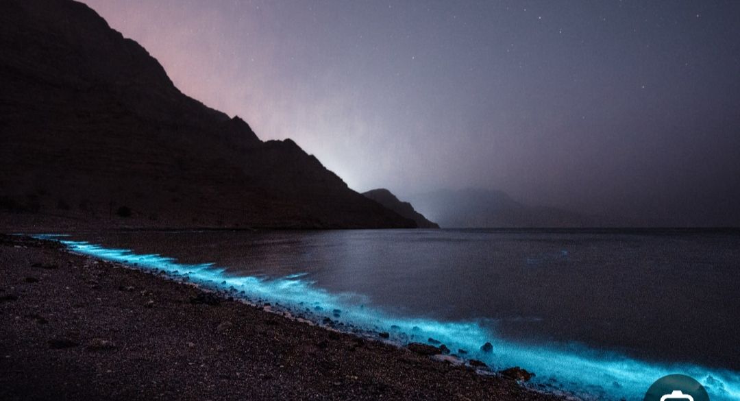 تحذير من ارتفاع موج البحر من اليوم الأحد إلى الثلاثاء المقبل