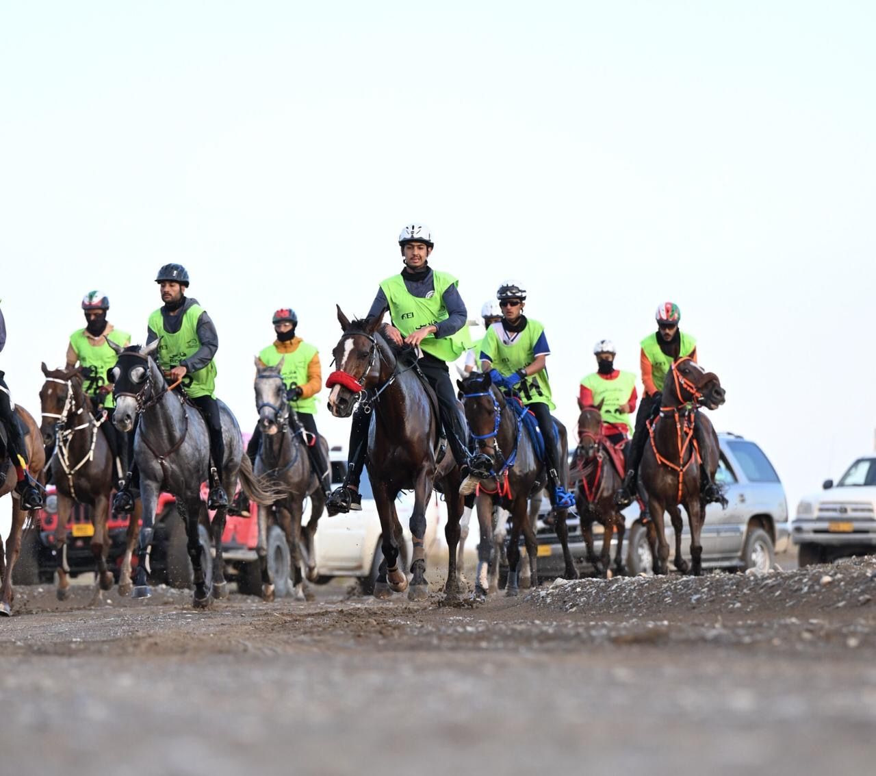 اتحاد الفروسية والسباق يعلن روزنامته لهذا الموسم وغدا انطلاق أولى فعالياته