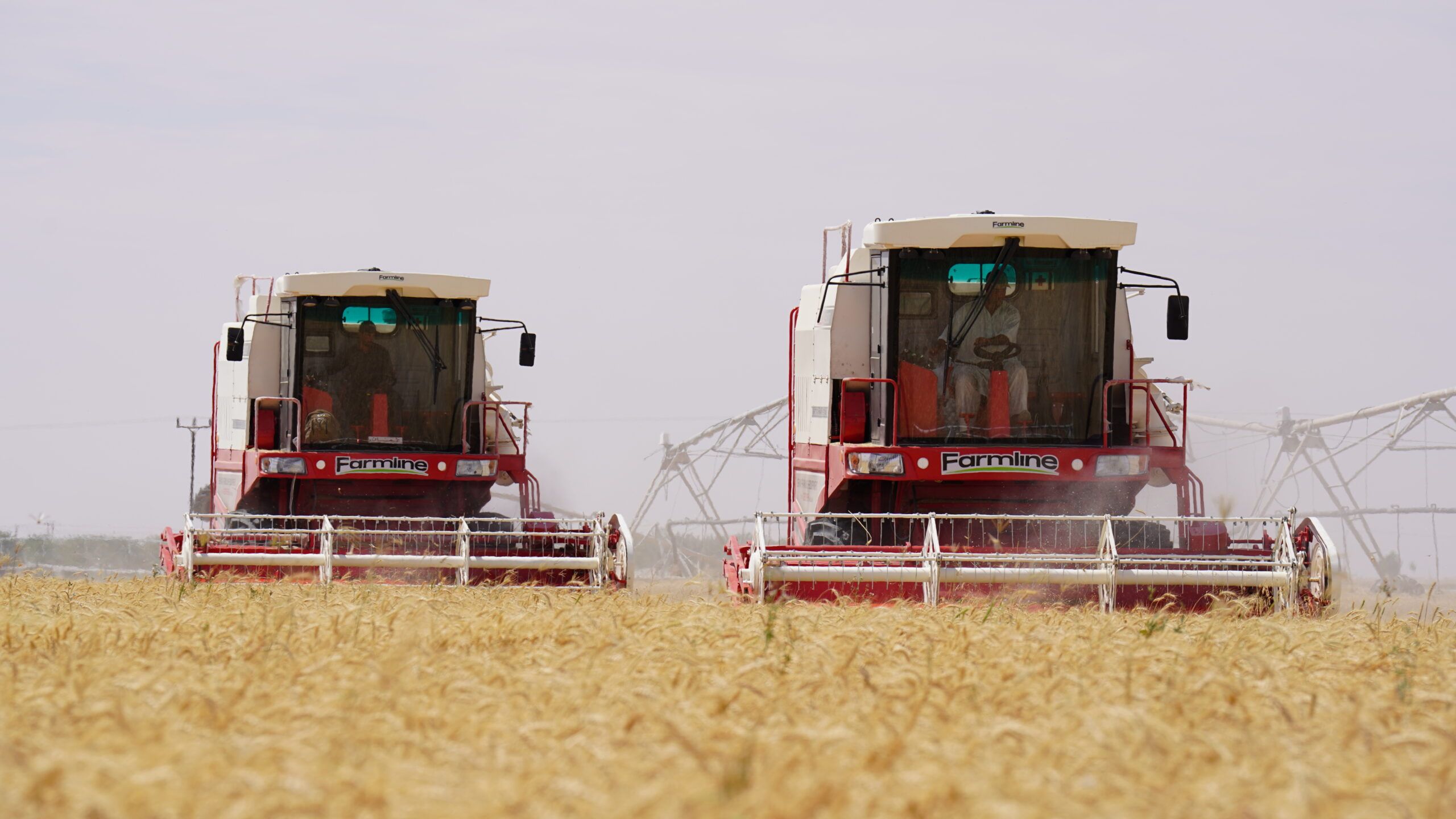 بقيمة تتجاوز 10 ملايين ريال عُماني.. طرح 30 مشروعًا استثماريًّا في مجال الأمن الغذائي