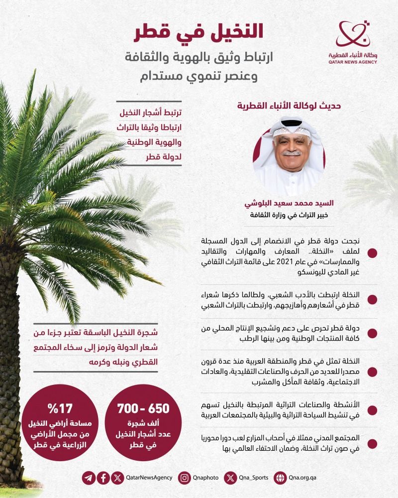 النخيل في قطر.. ارتباط وثيق بالهوية والثقافة وعنصر تنموي مستدام
