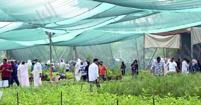 مشتل العمرية استقبل محبي الزراعة بنصف مليون شتلة بأسعار رمزية