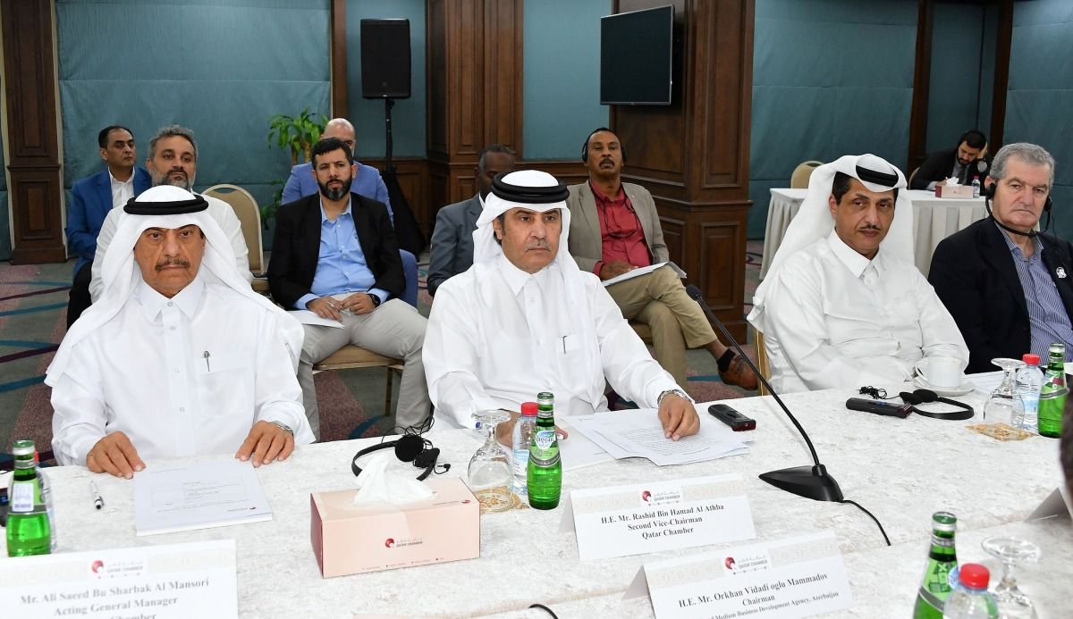 اللقاء القطري الأذربيجاني يبحث تفعيل مجلس الأعمال المشترك وتعزيز علاقات التعاون