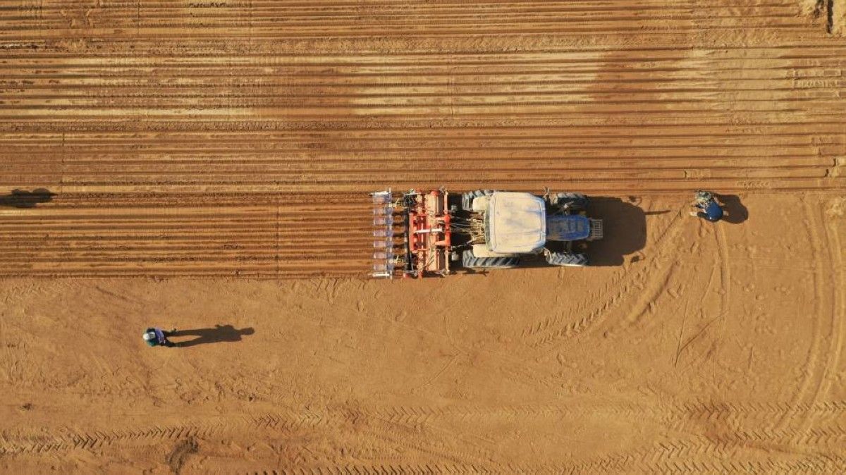 التكنولوجيا الزراعية في الإمارات.. تقنيات مبتكرة تواجه تحديات المياه والتربة والمناخ لتحقيق الأمن الغذائي