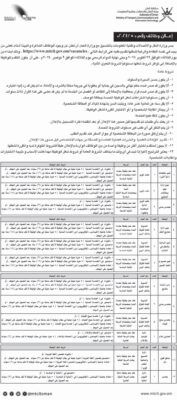 12 وظيفة شاغرة لدى وزارة النقل والاتصالات وتقنية المعلومات