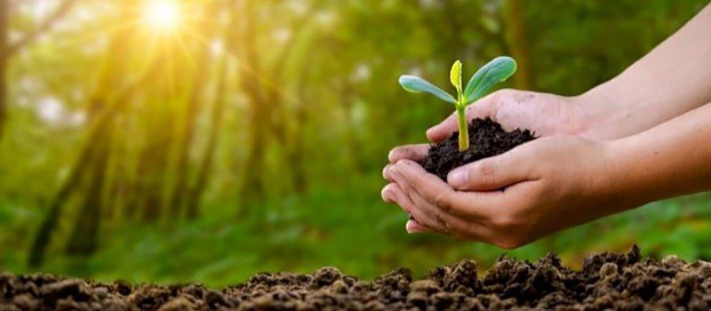 سلطنة ⁧‫عُمان‬⁩ تحتفل بيوم الزراعة