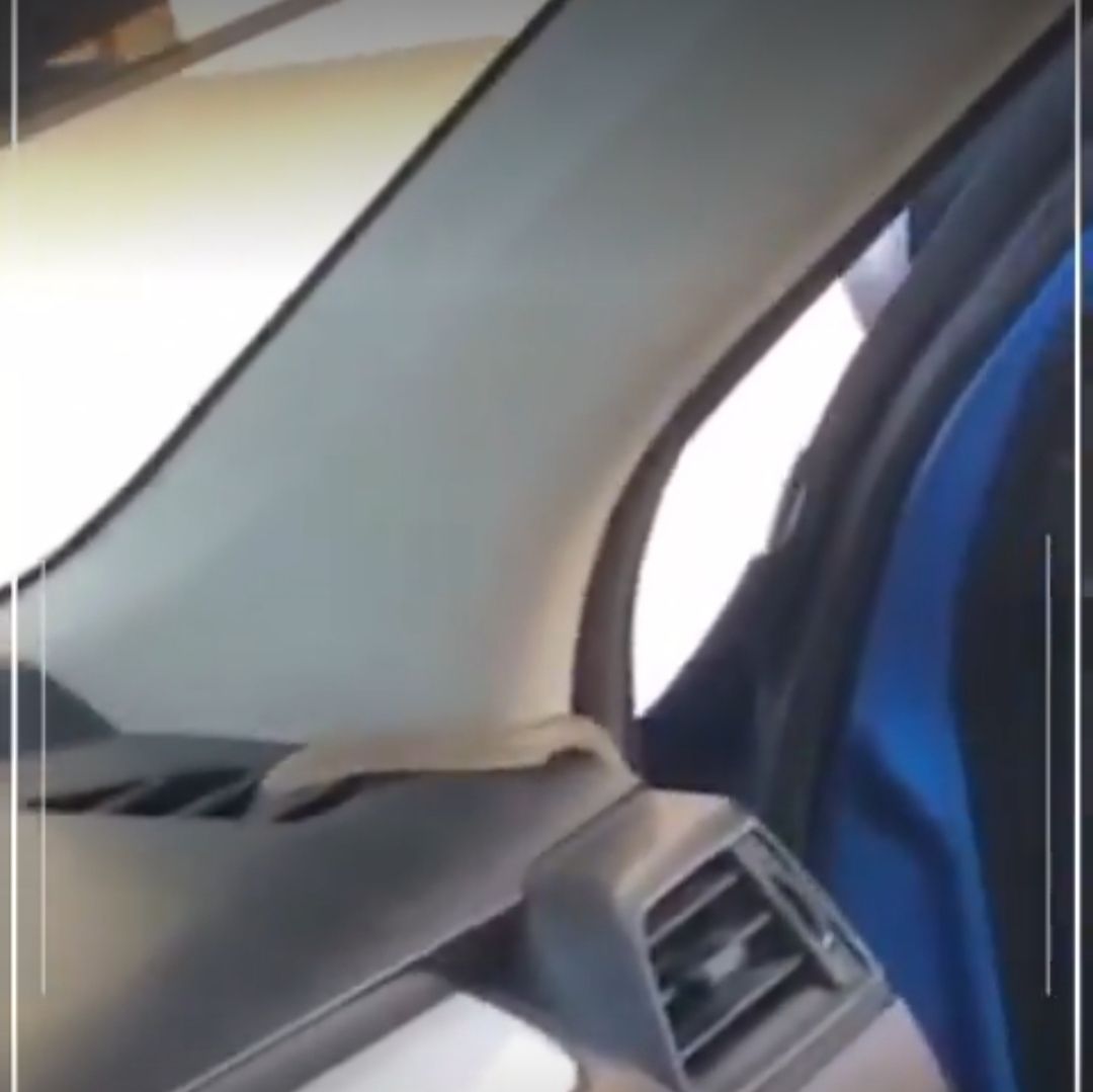 فرق الإنقاذ تتعامل مع بلاغ وجود ثعبان في مركبة بولاية نزوى