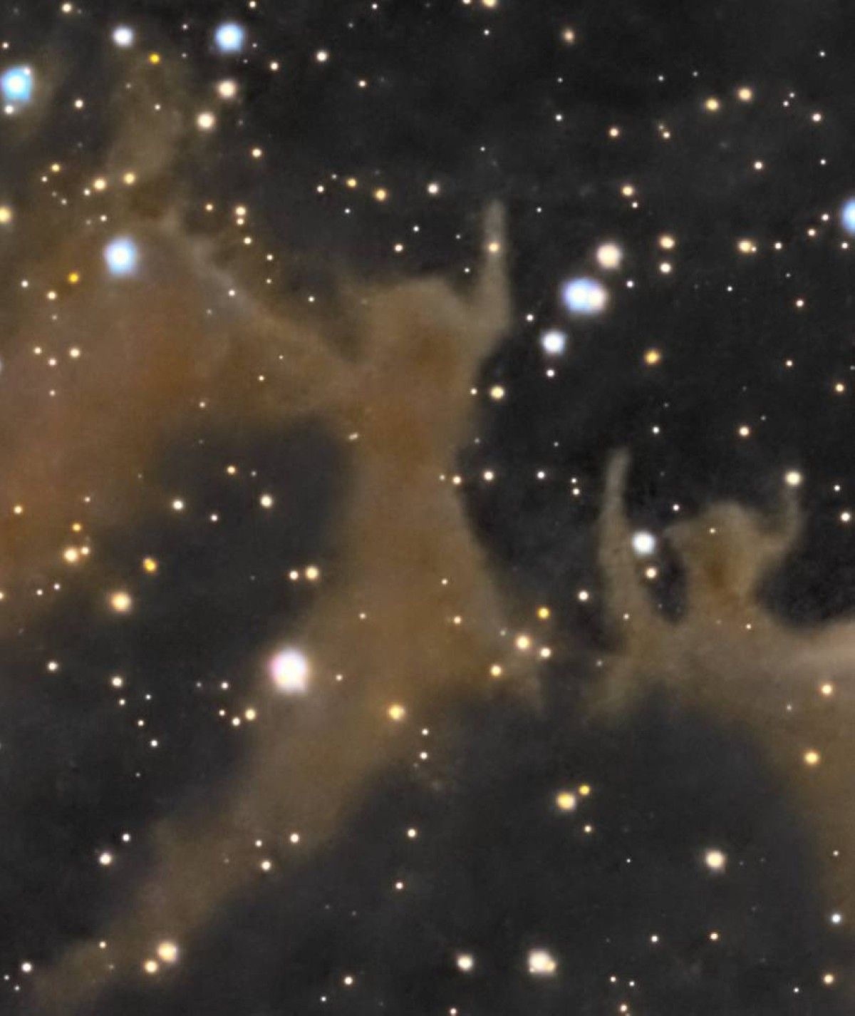 التقاط سديم «الشبح» من سماء الإمارات