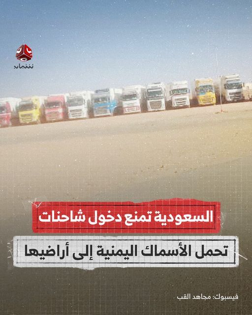 لليوم الخامس.. السعودية تمنع دخول شاحنات تصدير الأسماك اليمنية إلى اراضيها